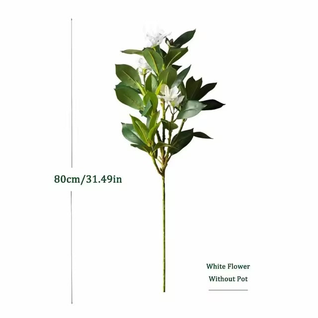 Rama Ficus Tropical Flor Blanca